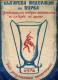 W198 / SPORT - Wrestling Lutte Ringen 1976 - 21.5 X 30 Cm. Wimpel Fanion Flag Bulgaria Bulgarie Bulgarien Bulgarije - Sonstige & Ohne Zuordnung