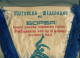 W199 / SPORT - Wrestling Lutte Ringen  - 30 X 48 Cm. Wimpel Fanion Flag Bulgaria Bulgarie Bulgarien Bulgarije - Otros & Sin Clasificación