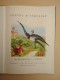 Enfantina - Bibliothèque  Rouge Et Bleue No 4 - Contes D'Andersen - Illustrations De J. A. Dupuich  -1958 - Cuentos