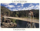 (399) Australia - TAS - Launceston Cataract Gorge - Lauceston