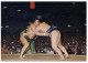 (PF 250) Japan - Sumo Wrestling - Lutte