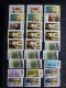 Delcampe - Timbres Neufs ** Divers Pays - Collections (en Albums)