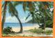 SEYCHELLES - .Anse Intendance - PC  Franked With Stamp Bird - Seychelles