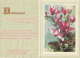 FLOWERS, ORCHIDS, ENVELOPED TELEGRAMME, SPECIAL ENVELOPE, CODE DT 23 - Telegraph