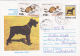 DOGS` EXHIBITION,  POSTAL STAIONERY, 1997, ROMANIA - Briefe U. Dokumente