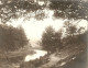 2 Anciennes Photos De Daverdisse 17cm X 22cm La Lesse Et Un Sous Bois, Frais D'envoi!!! - Daverdisse