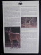 WWF Mali 1986 - Giant Eland - Album Pages (German) - Sonstige & Ohne Zuordnung