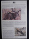 WWF Mali 1986 - Giant Eland - Album Pages (German) - Sonstige & Ohne Zuordnung