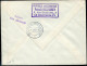 FRANCE - N° 1332 + 1334 / LETTRE AVION DE LA LOIRE LE 29/3/1962, 1ére LIAISON PAR CARAVELLE PARIS FRANCFORT - TB - Premiers Vols
