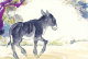 (N54-079  )  Anes Esel Donkey Burros Y Asnos, Postal Stationery-Entier Postal-Ganzsache-Postwaar Destuk - Donkeys