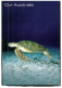 (PF 444) Avanti Postcard - Our Australia - Turtle Etc - Tortues