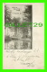 CONCORD, NH -  VIEW IN ROLLINS PARK - TRAVEL IN 1906 - UNDIVIDED BACK - - Concord
