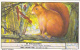 Liebig S1655 Rodents No 3 Squirrel - Liebig