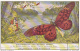 Liebig S1644 Large Insects Of The Belgian Congo No 6 Butterfly - Liebig