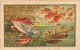 Chromo  Van Houten, Format Cpa, Poissons Des Mers De Chine, Scan Recto Verso - Van Houten