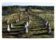 Carnac (56) : Alignements De Kermario - Dolmen & Menhirs