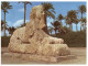 (444) Egypt - Giza Sphinx - Gizeh