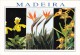 Madeira,Portugal,Posted With Stamp.P13. - Madeira