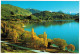 CARTOLINA - NUOVA ZELANDA - NEW ZEALAND - Lake Wanaka - Glendhu Bay - Viaggiata Per Bourg D'Oisans - Nouvelle-Zélande