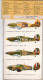 INSEGNE  PER  AEREI  E  CARRI  ARMATI ,  Hawker  Hurricane  ,  Badges And Markings - Aerei E Elicotteri