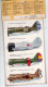 INSEGNE  PER  AEREI  E  CARRI  ARMATI , Ilyushin  II 2   Shturmovik  ,  Badges And Markings - Flugzeuge & Hubschrauber