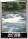 (611) Aviron - Rowing - Canoe (2 Cards) - Rowing