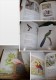 COLL.MARCEL JEANSON" Part III : French Ornithological Watercolours Of The 17 Th - 19 Th / Aquarelles Chasse Ornithologie - Beaux-Arts