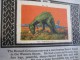 Delcampe - 336 Different In 1 Album Printed 1915 MARKSTEIN Dogs , Aviation, Dinos, Cows Races, ChickensTHE PICTURE BOOK OF WISDOM - Cinderellas