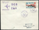 NOUVELLE CALEDONIE - N° 300 / LETTRE AVION DE NOUMEA LE 21/9/1960, 1ére  LIAISON NOUMEA PARIS PAR DC8 DE LA TAI - TB - Cartas & Documentos