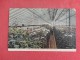 - Indiana> Indianapolis Interior Berterman's Green House  Ref 1367 - Indianapolis