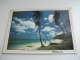 STORIA POSTALE FRANCOBOLLO COMMEMORATIVO Santa Lucia  Antigua Dead Wood Beach  An Island Prints Nutshell Production - Santa Lucia