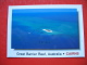 Great Barrier Reef CAIRNS - Cairns