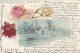 Croatie - Hongrie - Karlovac - Illustration Lac - Roses  - Fine Postmarked 1901 Karlovac Zagreb - Croatie