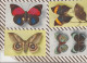 4AG279 Lot De 4 Cartes PAPILLONS 2 SCANS - Papillons