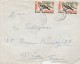 LOT DE 14 LETTRES ET DOC LUXEMBOURG POUR LA FRANCE VOIR SCAN - Collections