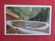 - Wyoming> Yellowstone  Park  Spiral Bridge  S Hill Cody Road  Ref  1389 - Yellowstone