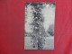 > Dominica ( B.W.I. Cannon Ball Tree   Paper Rub Top Of Card   Ref 1389 - Dominica