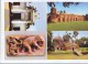 Delcampe - Bangladsh 2006 Complete Set Of 30 Postcard Issued By Govt. Archeological Relics RARE Limited Print Mosque Nature Buddha - Bangladesh