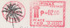 Philippines: JEEP JEEPNEYS - Quiapo Cathedral , AUTOBUS/COACH ( & Red Metermark P=02.00 - Pilipina's Postage) - Vrachtwagens En LGV