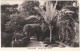 Cadenabbia - Giardino Villa Carlotta Black & White Postcard - Como