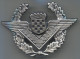 CROATIA AIR FORCE, Officer Insignia For Caps, Military, Army - Luchtvaart