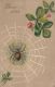 CPA SPIDER, WEB, CLOVER, EMBOISED - Insetti