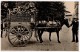 Azores, Horse And Carriage, Early 1900´s - Açores