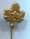 SCOUT, Scoutisme, Eclaireur -  Yugoslavia, Metal, Pin, Badge - Scoutisme