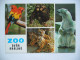 ZOO Dvur Kralove (Czech Republic) - Ara, Chimpanzee, Ice Bear, Young Tiger - 1970s Unused - Sonstige & Ohne Zuordnung