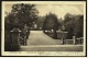 Freiberg I. Sa.  -  Blick Auf Den Albertpark  ,  Ansichtskarte Ca.1915  (3527) - Freiberg (Sachsen)