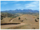 (PH 569) Australia - SA - Flinders Range Road - Flinders Ranges