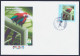 Delcampe - 2014 BRASILE "CIADADES SEDE - MONDIALI DI CALCIO 2014" SET FDC - FDC