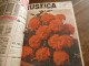 Delcampe - Rare ALBUM De 13 Revues RUSTICA Année 1958, Etat Superbe - Jardinería