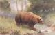 Artist Drawn The Brown Bear Postcard (AN049) Oilette - Ours